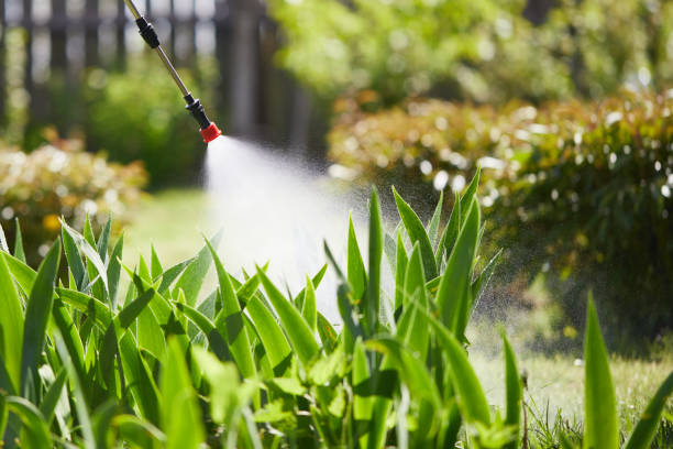 Tamper-Resistant Bait Stations for Rodents in Dry Ridge