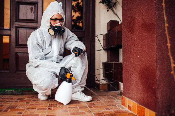Attic and Crawl Space Rodent Treatment in Dry Ridge