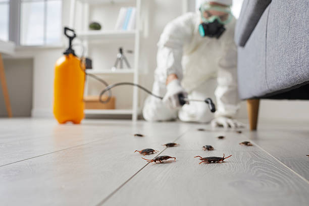 Commercial Rodent Management in Dry Ridge